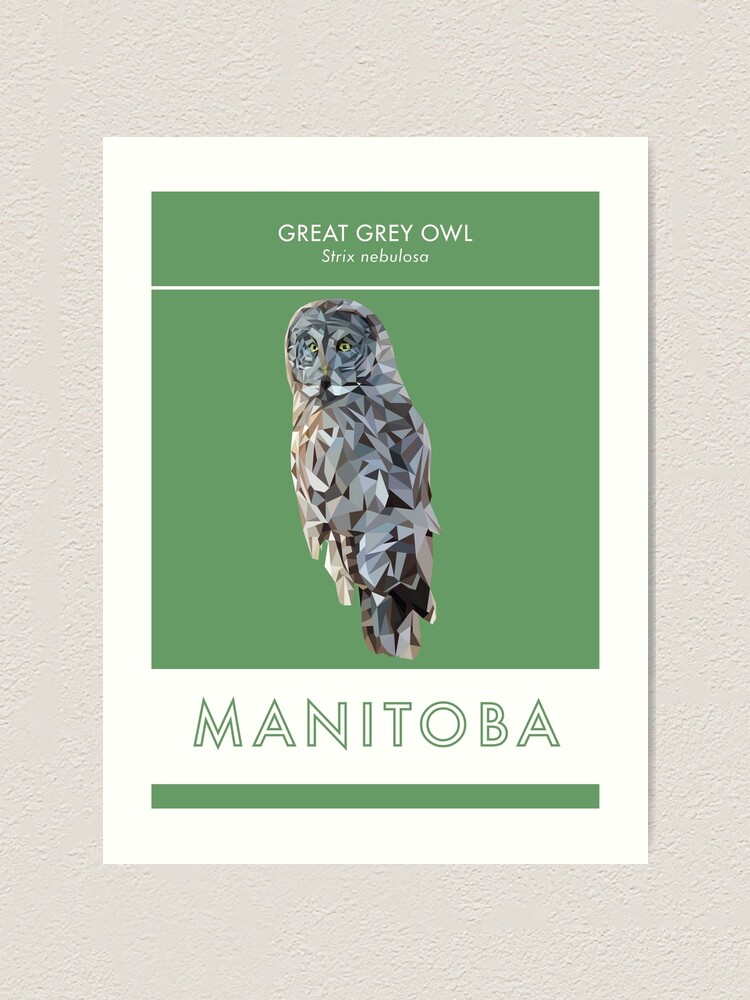 Alternate view of Manitoba - Great Grey Owl Art Print