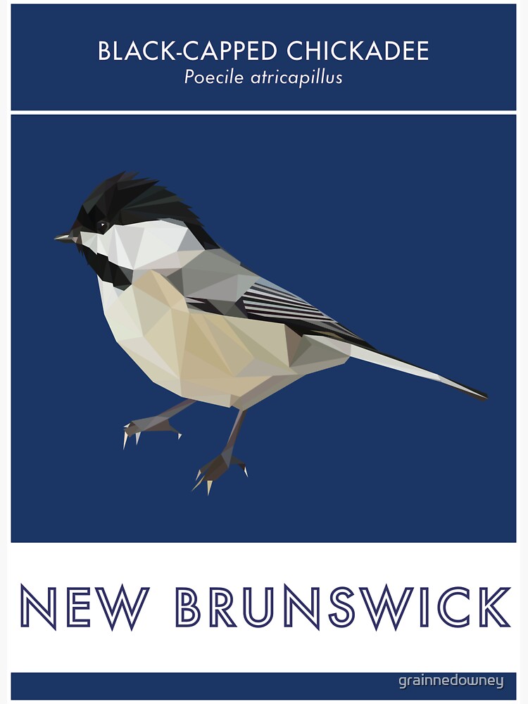 New Brunswick - Black-capped Chickadee by grainnedowney