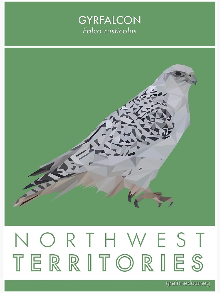 Northwest Territories - Gyrfalcon by grainnedowney