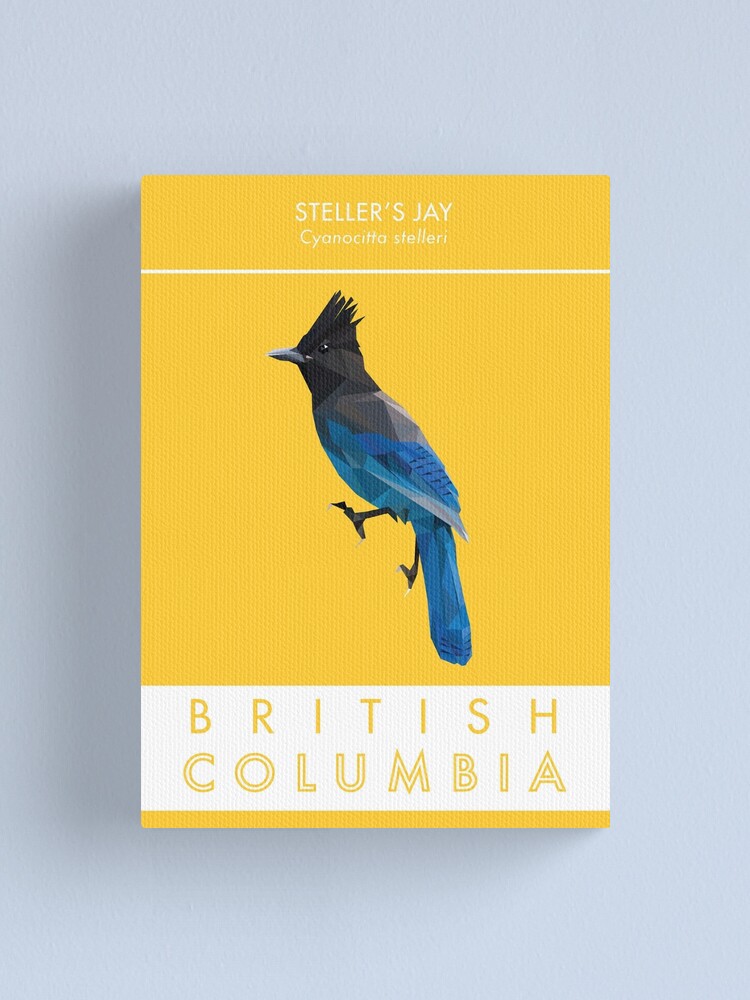 Alternate view of British Columbia - Stellar's Jay Canvas Print
