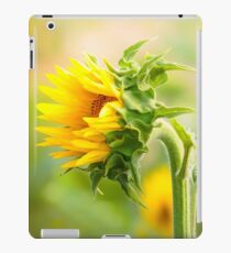 Sonnenblume iPad-Hülle & Klebefolie
