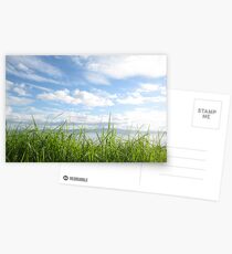 Grass, sky & sea Postcards