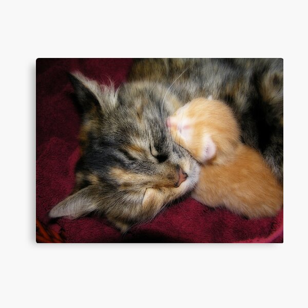Love you Mom Canvas Print