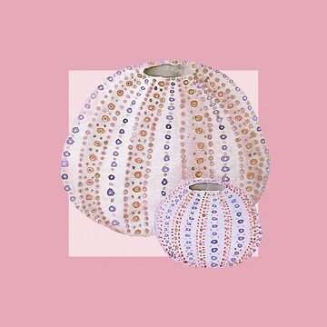 Artwork thumbnail, Urchins in rose by LisaLeQuelenec