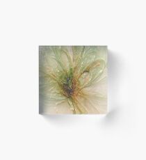the laminated fly .... Acrylic Block