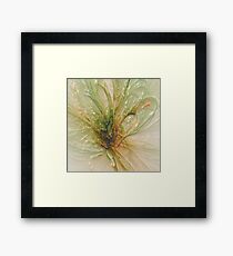 the laminated fly .... Framed Print