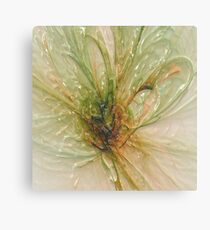 the laminated fly .... Canvas Print