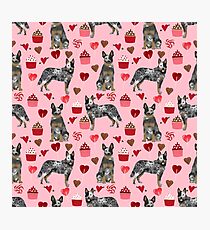 Australian Cattle Dog blue heeler valentines day cupcakes hearts love dog breed Photographic Print