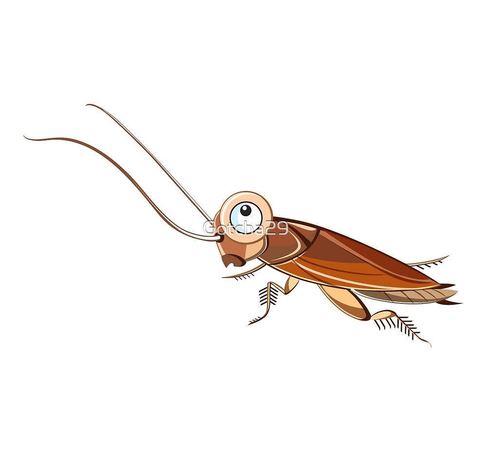 "Cockroach Cartoon Character" by Gotcha29 | Redbubble