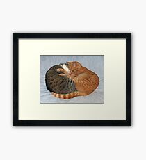 Ball of Cuteness Framed Print