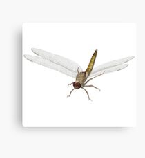 Dragonfly Cartoon Character Canvas Print