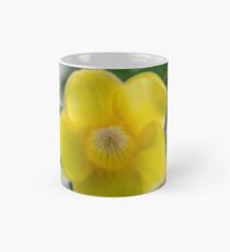 Luminosity Mug