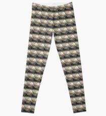 Icerosen auf dem Fenster Leggings