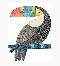 Tucan chilling Photographic Print