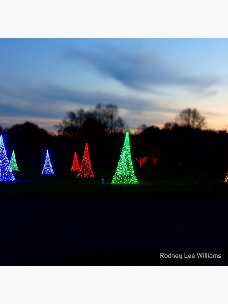 Christmas Garden 2 by Rodwilliams