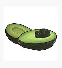 Avocado Cat Photographic Print