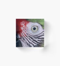 Ara Acrylic Block