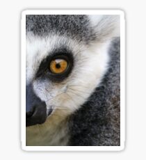 Oeil Sticker
