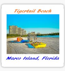 Tigertail Beach, Marco Island, Florida Painting Sticker