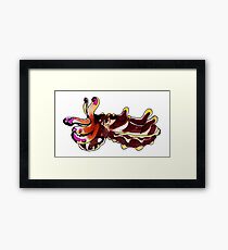 Flamboyant Cuttlefish Framed Print