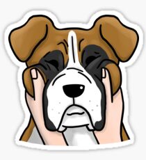 Funny Chubby Cheeks Boxer Sticker