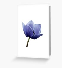 Blue Poppy Greeting Card