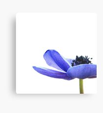 Blue Tutu Metal Print