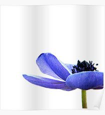 Blue Tutu Poster