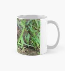 Alligator Snapping Turtle Hatchling Mug