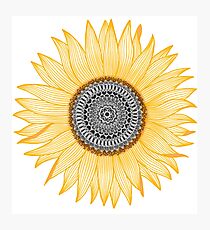 Golden Mandala Sunflower Photographic Print