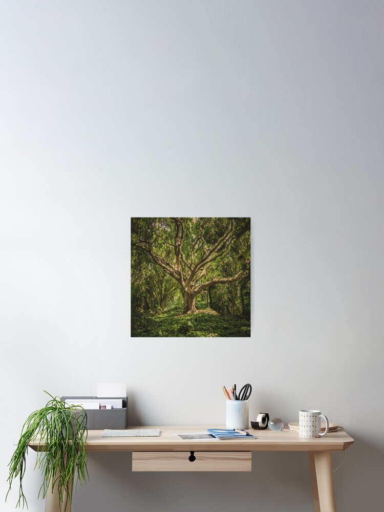 Alternate view of Spirits inside the wood Poster