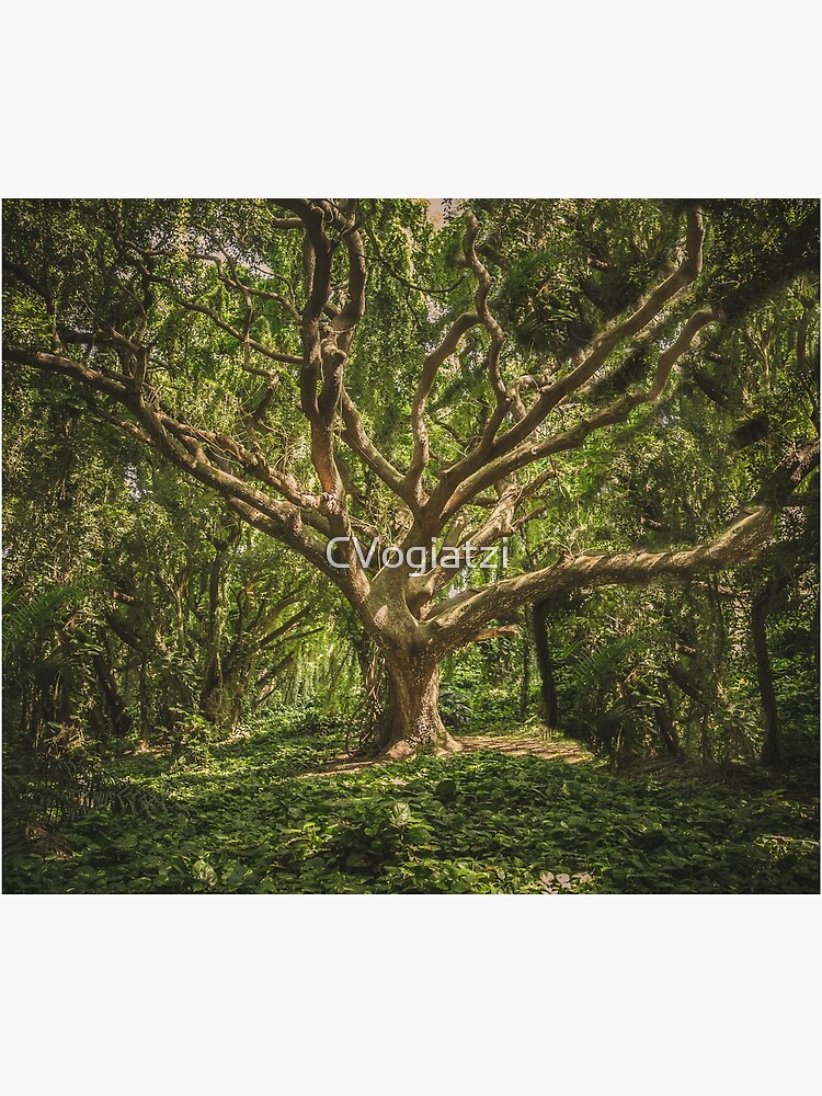 Spirits inside the wood by CVogiatzi