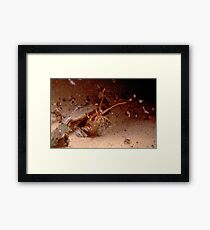 Sandworm Framed Print