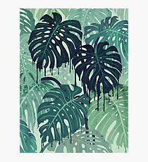 Lámina fotográfica Monstera Melt (en verde)
