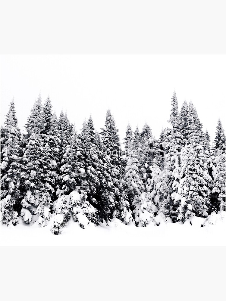 Snow Day Has Come by CVogiatzi