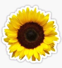 sunflower Sticker