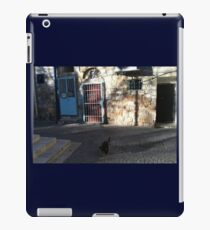 Jerusalem courtyard Cat iPad Case/Skin