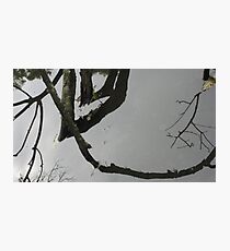 Sculptures in living water 4 Photographic Print