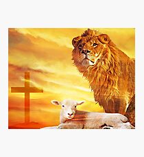 And the Lion Will lay Down With the Lamb... Photographic Print