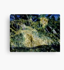 Time Travel Canvas Print