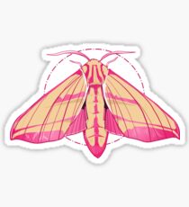 Elephant Hawk Moth Sticker