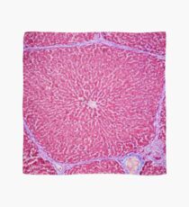 Liver tissue Scarf