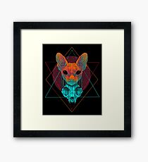 Reflections Framed Print