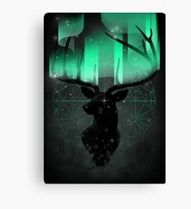 Northern Lights Canvas Print