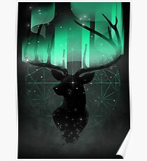 Nordlichter Poster