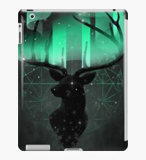 Vinilo o funda para iPad Auroras boreales