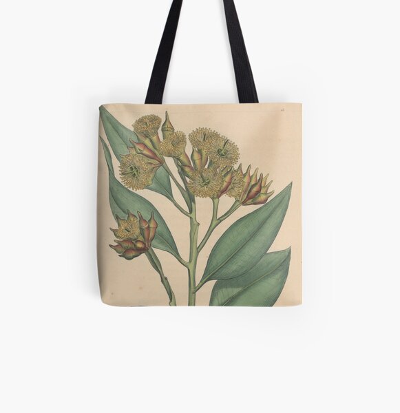 Botanical illustration: Eucalyptus robusta – State Library Victoria All Over Print Tote Bag