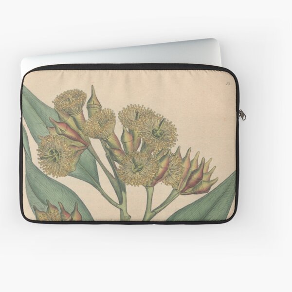Botanical illustration: Eucalyptus robusta – State Library Victoria Laptop Sleeve