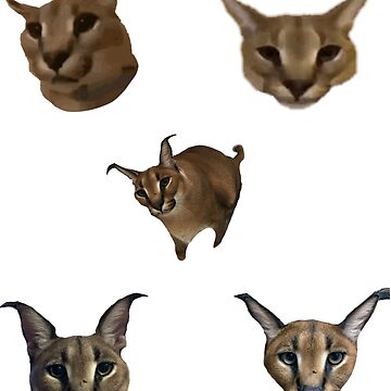 190 Big Floppa ideas in 2023  caracal cat, caracal, cat memes