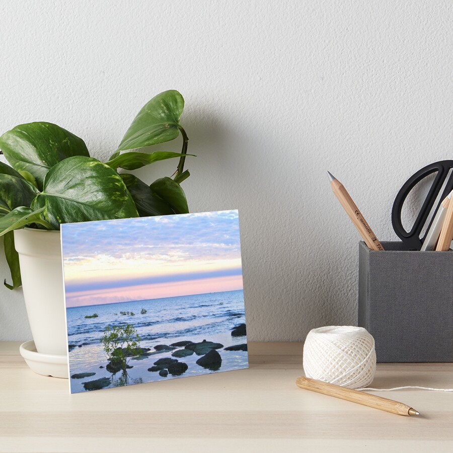 Nightcliff Sunset Art Board Print